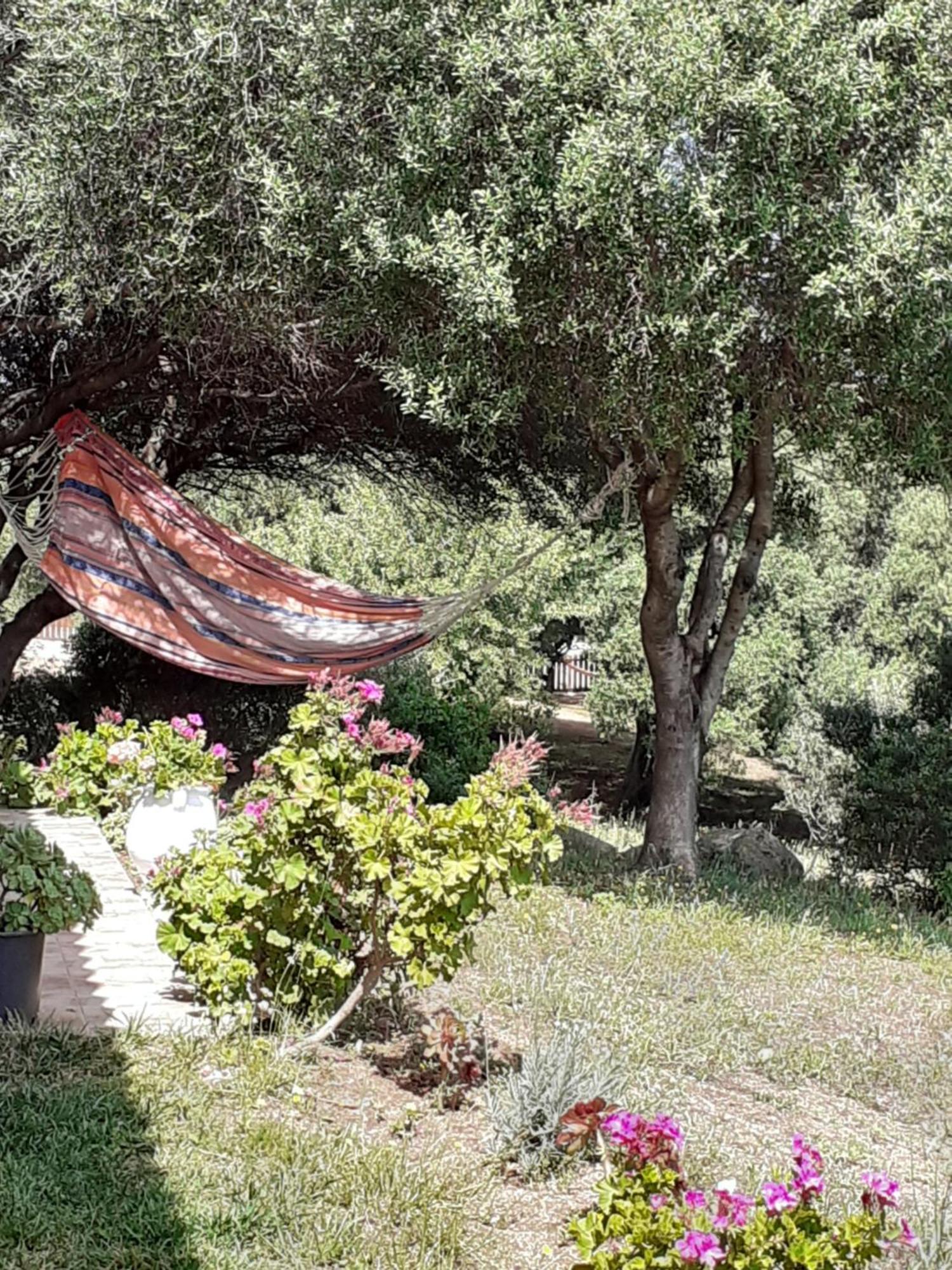 Gli Olivastri Con Piscina,Solarium, Vista Mare ,Sole -Mare E Tanta Natura ,Climatizzatore,Wifi Aglientu Exterior foto
