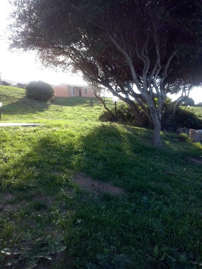 Gli Olivastri Con Piscina,Solarium, Vista Mare ,Sole -Mare E Tanta Natura ,Climatizzatore,Wifi Aglientu Exterior foto